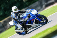 PJ-Motorsport-Photography-2020;anglesey;brands-hatch;cadwell-park;croft;donington-park;enduro-digital-images;event-digital-images;eventdigitalimages;mallory;no-limits;oulton-park;peter-wileman-photography;racing-digital-images;silverstone;snetterton;trackday-digital-images;trackday-photos;vmcc-banbury-run;welsh-2-day-enduro